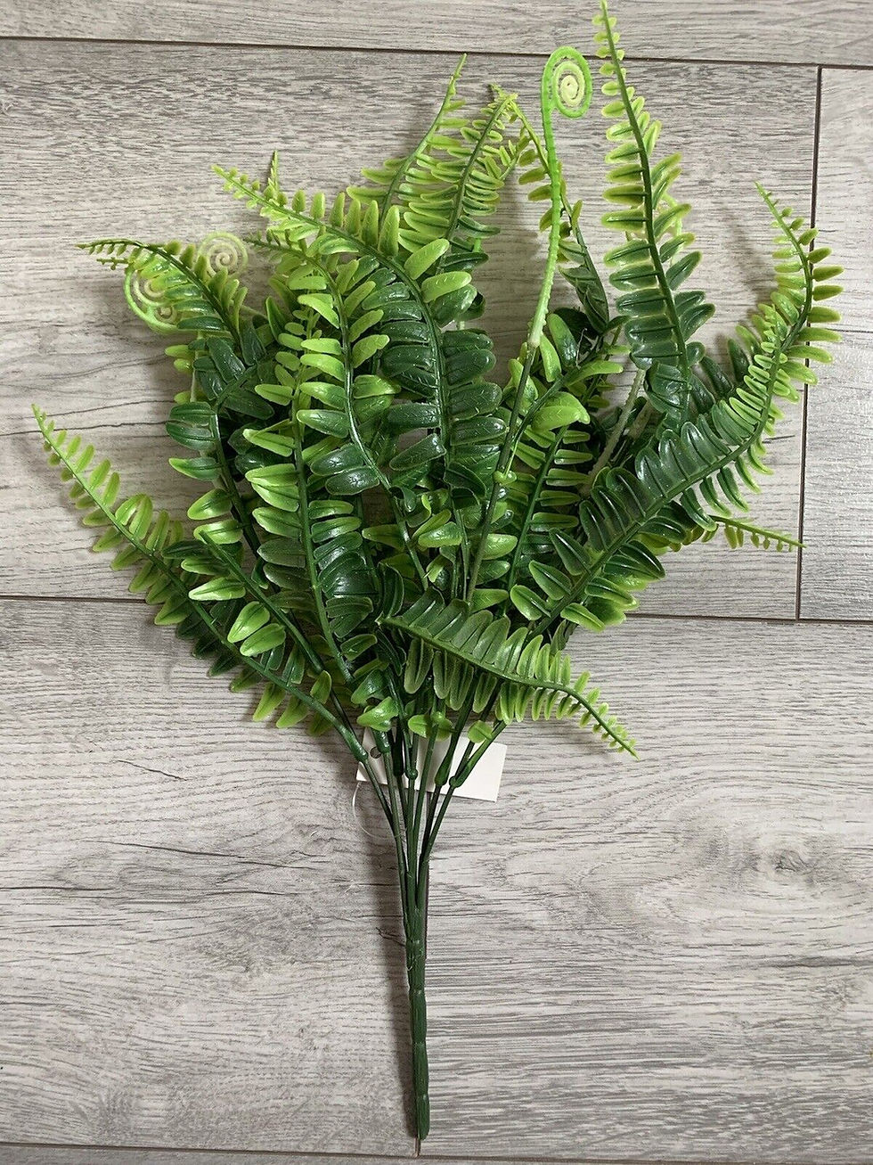 Thumbnail: 6x Green Foliage Mix Bushes