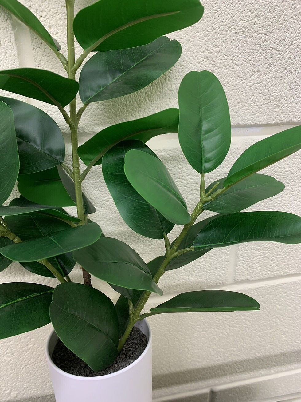 Thumbnail: 4 POTTED HOUSEPLANTS