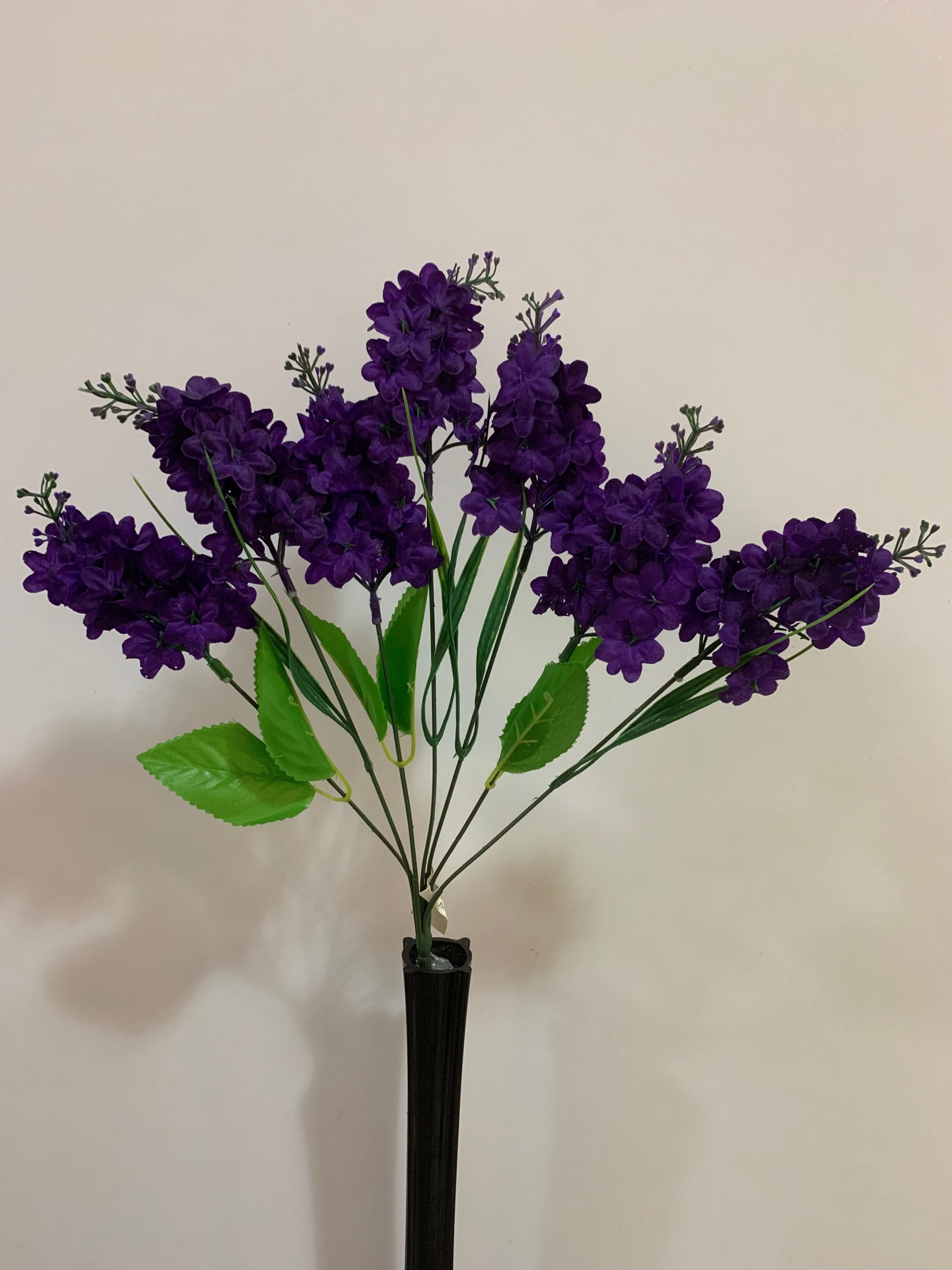 Lilac Bush Purple Colour