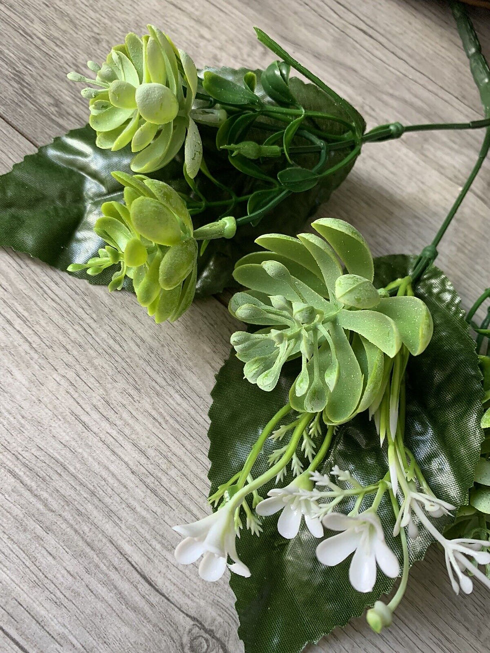 Thumbnail: 1 x Succulents Foliage Bush