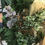 Thumbnail: 12x Mixed Artificial Foliage Bushes 
