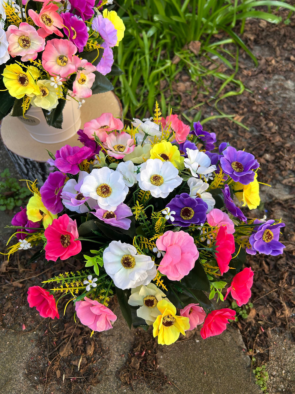 Thumbnail: Colourful anemones in the metal planter