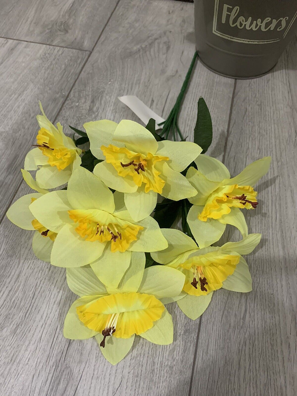 Thumbnail: 1 x Daffodils Bush