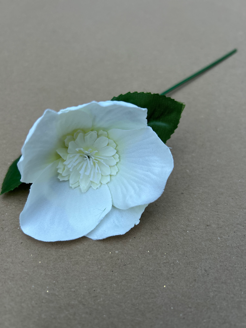 Thumbnail: 20cm Christmas Rose Stem ~ White Hellebore 