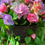 Thumbnail: XLong Pink Lilac Flower Garden Hanging Basket