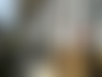 Wazuka, Kyoto / 京都府和束町 - $27,900 / 4,200,000円