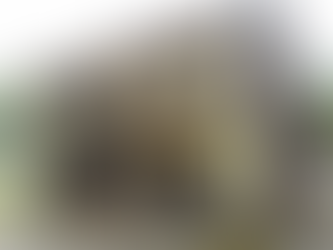 Toyooka, Hyogo / 兵庫県豊岡市 - $28,000 / 4,200,000円