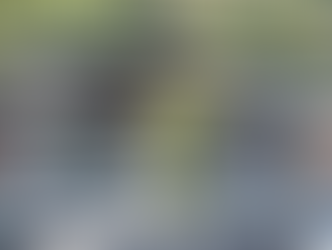 Hichisō, Gifu / 岐阜県七宗町 - Price Negotiable