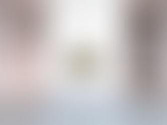 Elia Vanderheyden: The disappearance of the birds