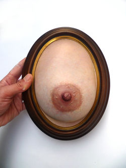 17x22cm, grillage, papier mâché enduit et peinture acrylique.