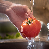 Fruta fresca EZZA