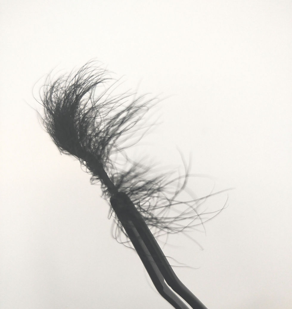 Thumbnail: Lotus Mink Lash