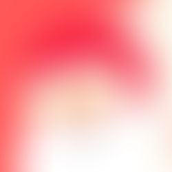 Lunch with Santa Event