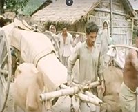 RR7121A India The Bengal Refugee Problem