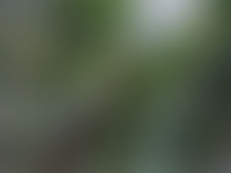 たけのこ準備。春の準備。そして、竹之座。