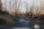 hole02gold02_edited.jpg