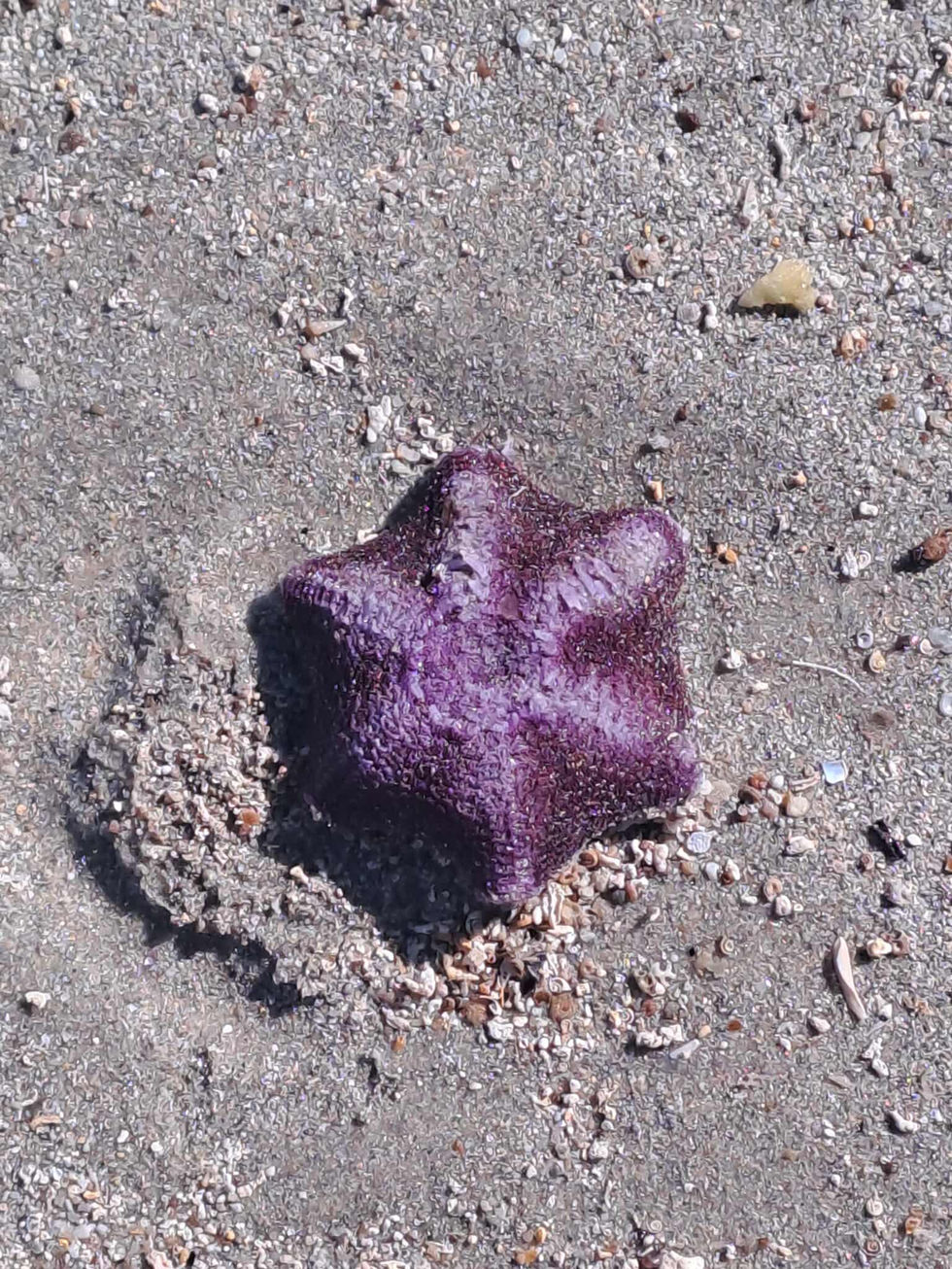 527040400_776987078252580_1137952877888129626_n