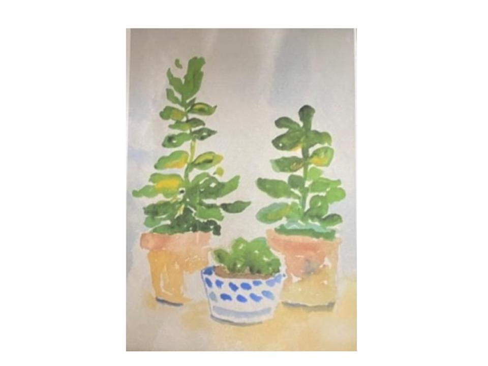 Gather & Paint | Potted Succulents in Watercolor & Ink