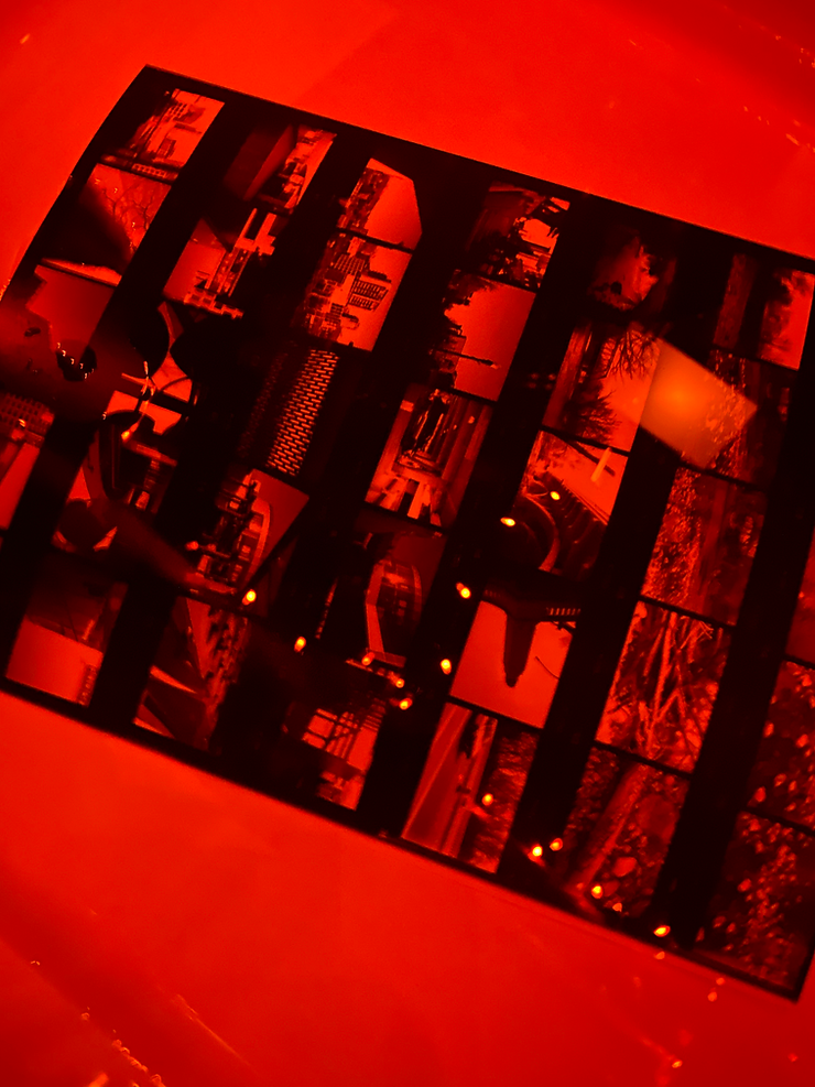Contact sheet from Sara, age 11