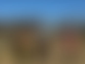 Ranch Happenings: 11/23/25-11/29/25