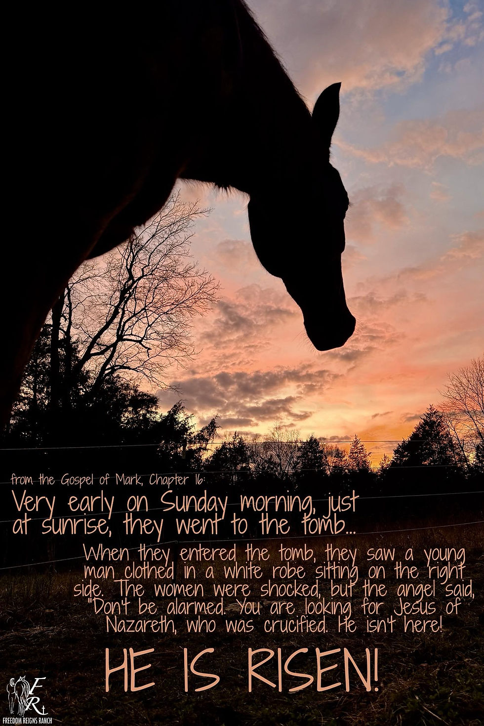 Ranch Happenings: 4/5/26-4/11/26