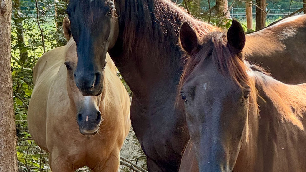 Ranch Happenings: 8/30/26-9/5/26
