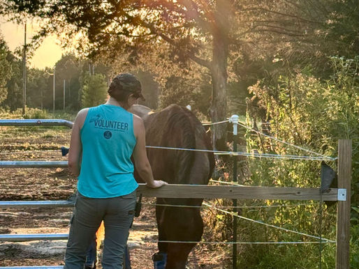 Ranch Happenings: 9/6/26-9/12/26