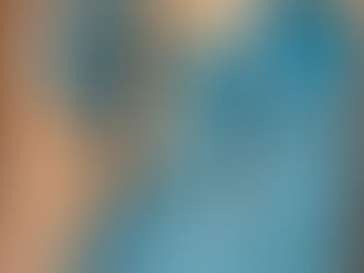 Ranch Happenings: 12/7/25-12/13/25