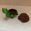 Thumbnail: Turtle With Hidden Compartment