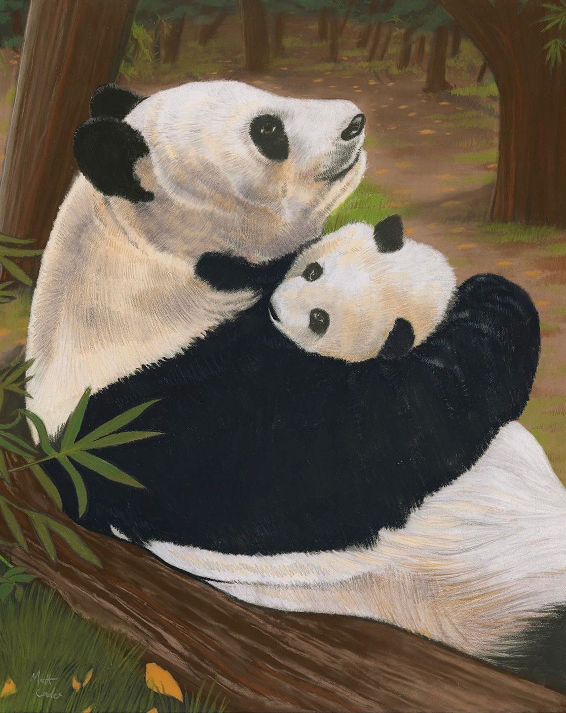 Pandas | Limited Edition Print