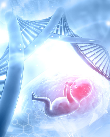 paternity dna test