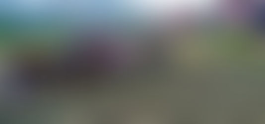 宜蘭新聞網 | 休耕40年的白米甕因蘇花改的完成將再造農村風光