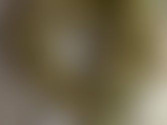 Heart Wreath made with Cardboard and Garland !