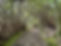 IMG_3702.jpeg