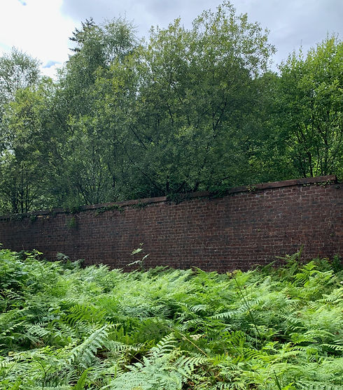 Kilmahew Walled Garden.jpeg