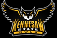 Kennesaw State University logo with an owl