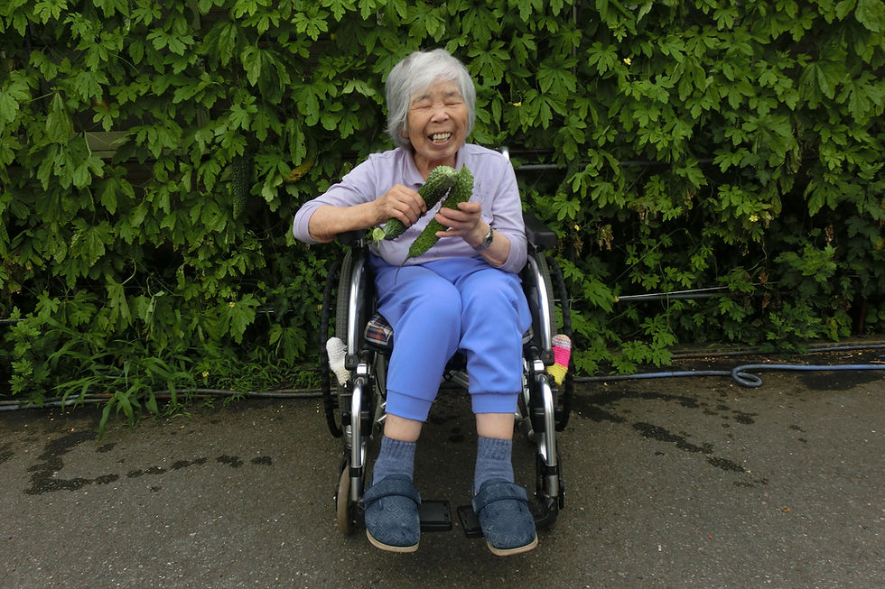 たいじゅの日常 ～ゴーヤ編～