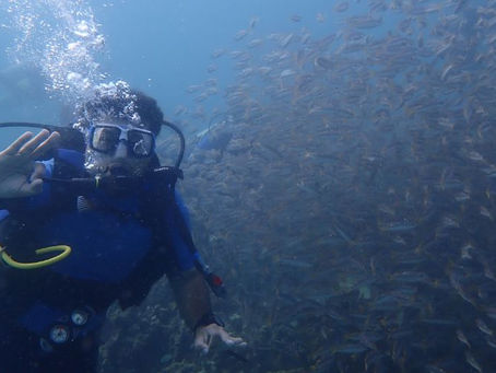 Diving and Snorkeling in Zanzibar: Top Spots to Explore Underwater