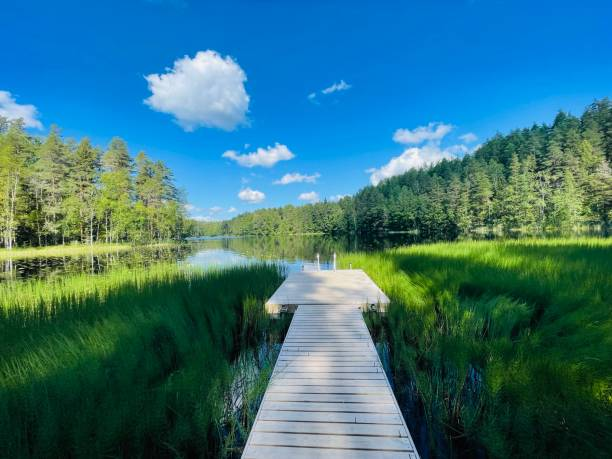 1. Nuuksio National Park – A Forest Retreat near Helsinki