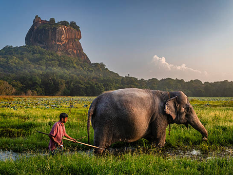 explore Sri Lanka