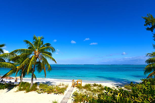 4. Gold Rock Beach, Grand Bahama Island