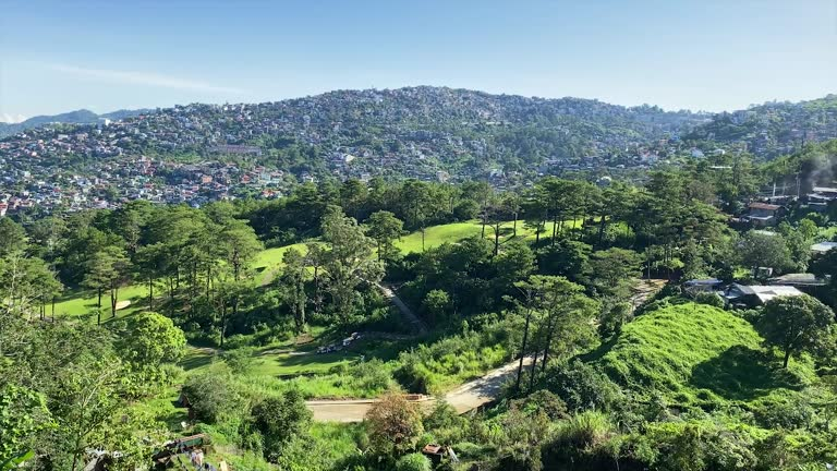 7. Baguio -The City of Pines in Love.