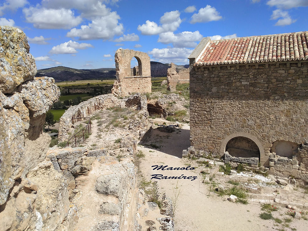 Zorita de los Canes. Castillo (18