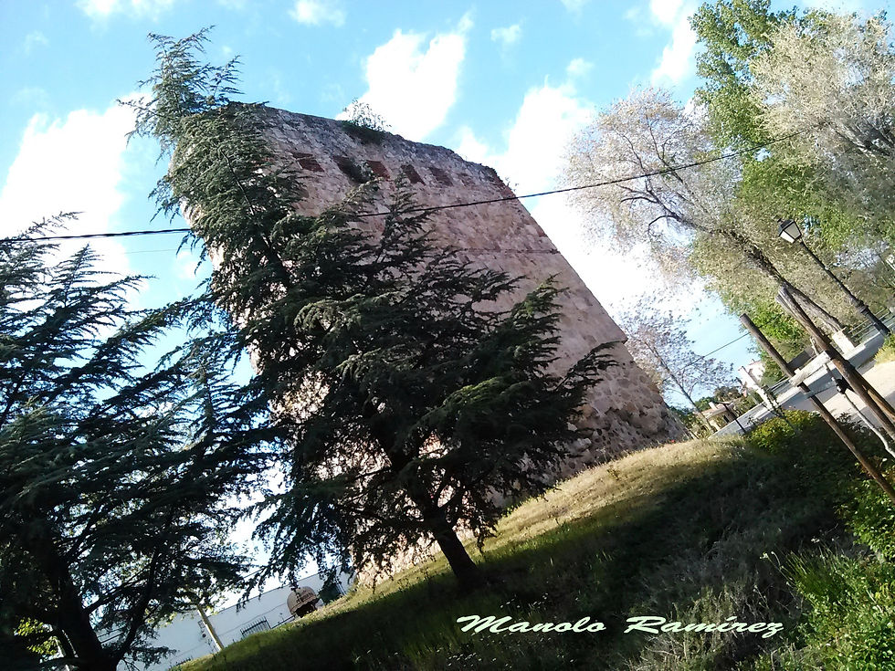 Talamanca del Jarama. Puerta de Uceda. (14.04.2017) (2)