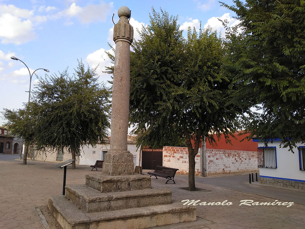 Turleque. Picota (30.08.2 (4)