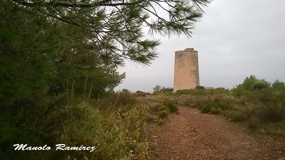 Maro. Torre de Maro. 19.03.2016