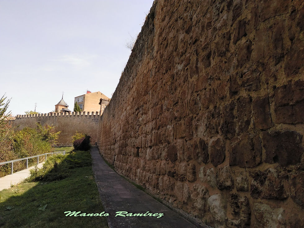 Almazan. Muralla (24.08.2 (9)