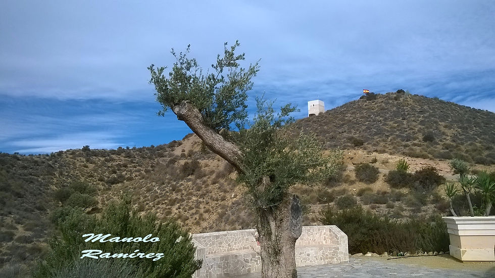 Huecal Overa. Castillo.  9 nov 2016 (5)