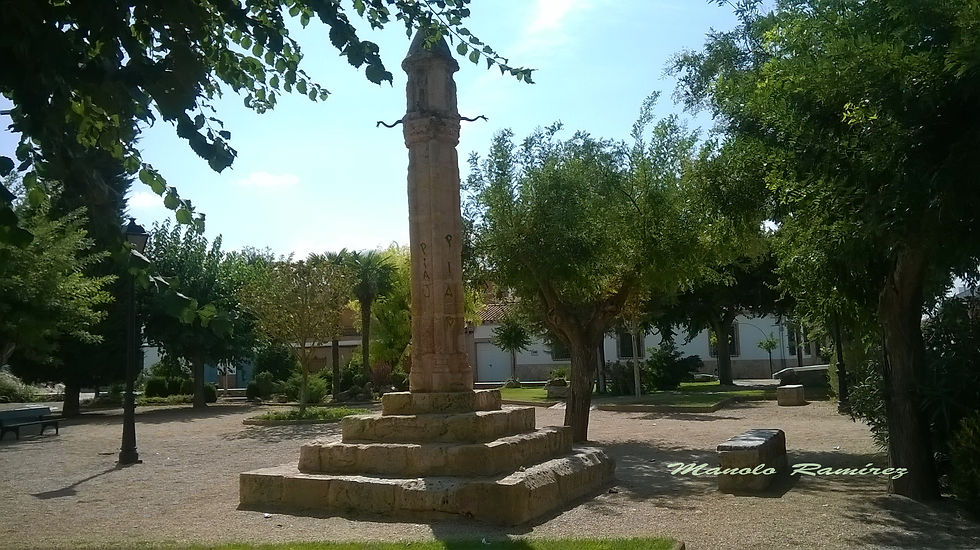 Villanueva de Alcardete. Picota (30.08