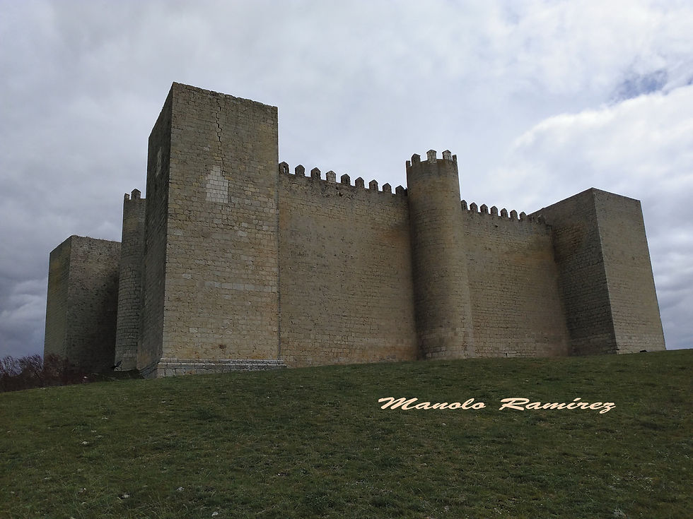 Montealegre de Campos